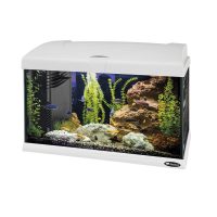 Ferplast Capri 50 Аквариум стеклянный с LED-освещением, белый 52 x 27 x h 36 cm - 40 л