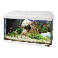 Ferplast Capri 60 Аквариум стеклянный с LED-освещением, белый 60 x 31,5 x h 39,5 cm - 60 л