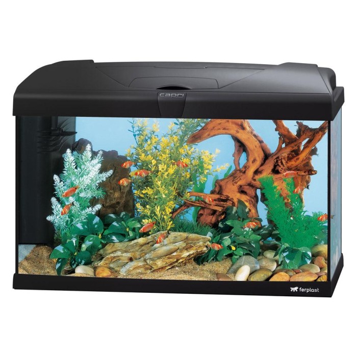 Ferplast Capri 60 Акваріум скляний з LED-освітленням, чорний 60 x 31,5 xh 39,5 cm - 60 л