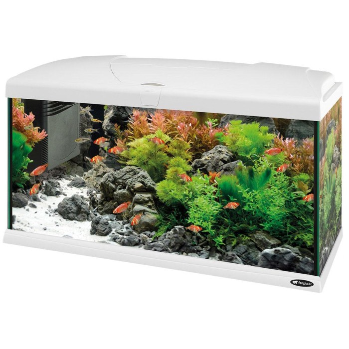 Ferplast Capri 80 Аквариум стеклянный с LED-освещением, белый 80 x 31,5 x h 46,5 cm - 100 л