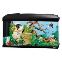 Ferplast Capri 80 Аквариум стеклянный с LED-освещением, черный 80 x 31,5 x h 46,5 cm - 100 л