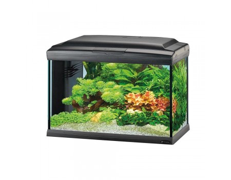 Ferplast  CAYMAN 60 PROFESSIONAL Стеклянный аквариум с лампой, внутренним фильтром и таймером 62,5 x 34,5 x h 45,5 cm - 75 л