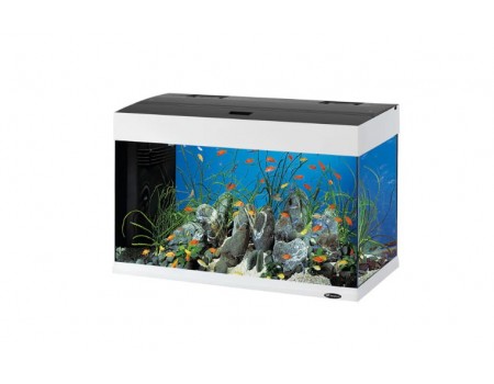 Ferplast DUBAI 80 LED Аквариум стеклянный с LED-освещением, белый 81 x 36 x h 51 cm - 125 л