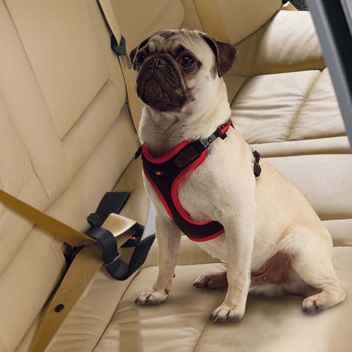 Ferplast DOG TRAVEL BELT BLACK Ремінь безпеки для собак 25 мм x L 37×50 cm