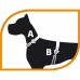 Ferplast AGILA REFLEX 4 HARNESS BLACK світловідбивна шлейка для собак з еластичним шнуром, чорна, А-В 44-52 см х 20 мм  - фото 2