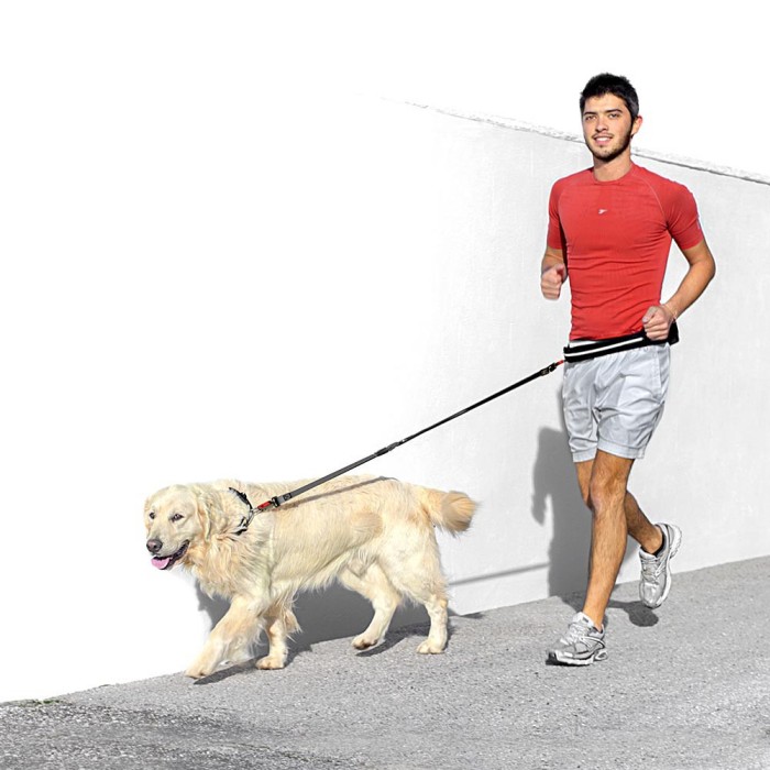 Ferplast ERGOCOMFORT FREETIME Поводок для собак с амортизатором и поясом, ? 75?125 cm - B: 25 mm x L 80?120 cm