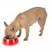 Ferplast JOLIE M RED BOWL Металева миска для собак та кішок в комплекті з пластиковою підставкою, ? 20 x 6.7 cm - 0,85 L  - фото 3