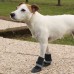 Ferplast PROTECTIVE SHOES XXL  BLACK  Защитная обувь для собак, 10 x 11 х 14 см, 2 шт  - фото 3