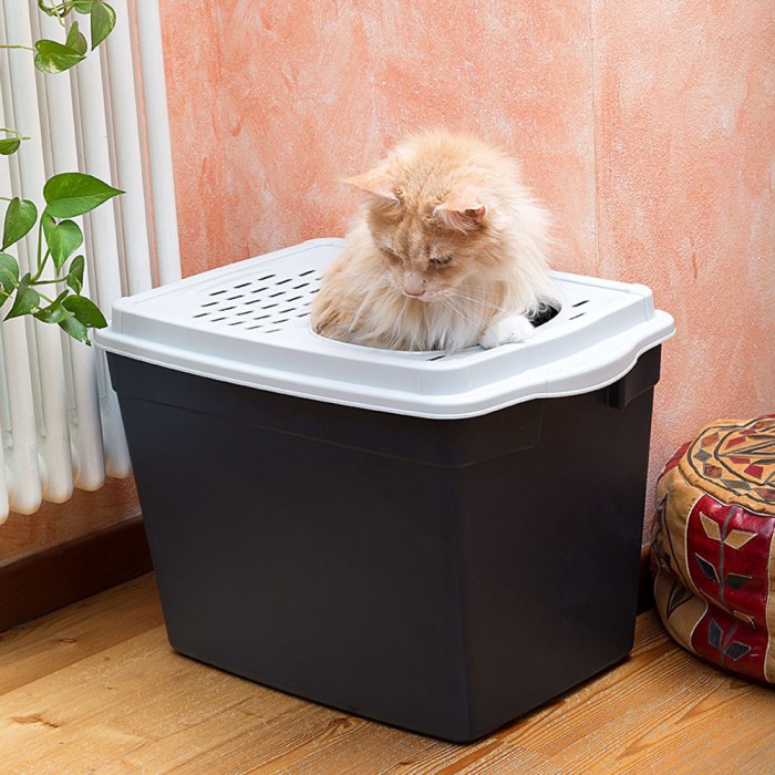 Закрытый туалет для кошек Ferplast TOILET HOME JUMPY, с верхним входом,предотвращает доступ других животных 38,8 x 57,5 x h 39 см