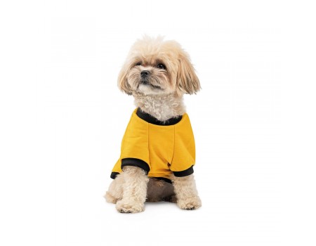 Футболка Pet Fashion Jessica, для собак, хлопок, трикотаж, желтая, S
