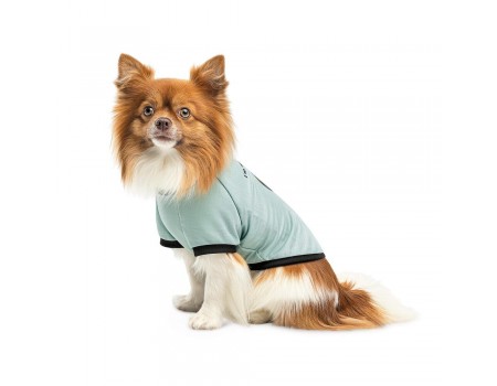 Футболка Pet Fashion Oscar, для собак, бавовна, трикотаж рібана, блакитна, S