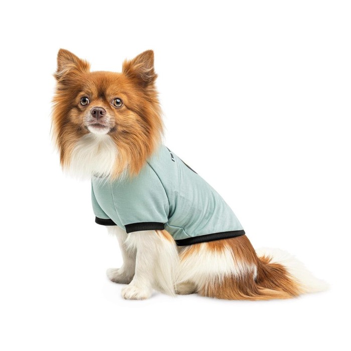 Футболка Pet Fashion Oscar, для собак, бавовна, трикотаж рібана, блакитна, S