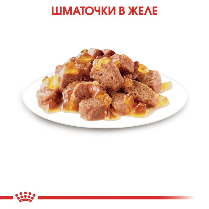 Вологий корм для дорослих стерилізованих котів ROYAL CANIN STERILISED IN JELLY 0.085 кг