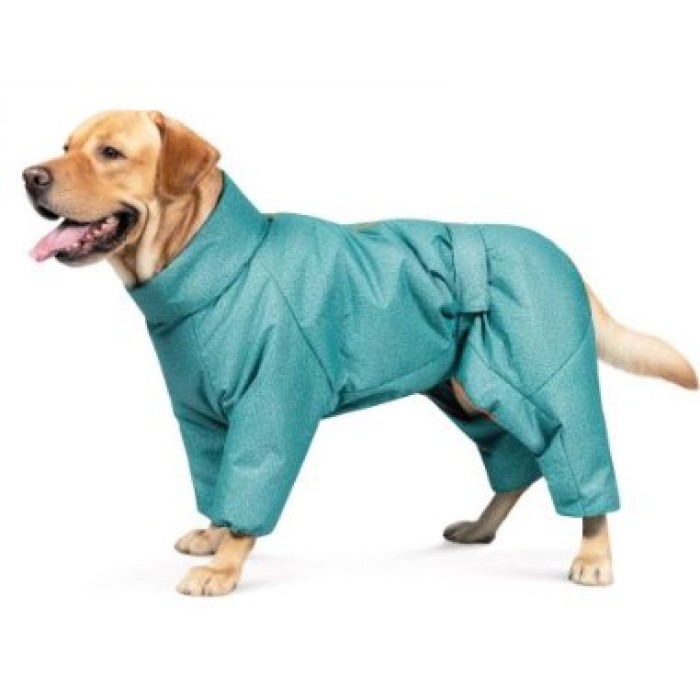 Комбинезон COLD, одежда для собак , XL , бирюза