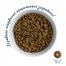 Home Food Корм CAT ADULT Для активних «Курочка та креветка» (10 кг)  - фото 5