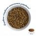Home Food Корм CAT ADULT для великих порід ТЕЛЯТИНА З ЛОСОСЕМ ТА В'ЯЛЕНИМИ ТОМАТАМИ (0,4 кг)  - фото 2