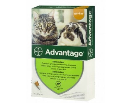Bayer Advantage 40- для котов весом до 4кг и хорьков 1пипетка