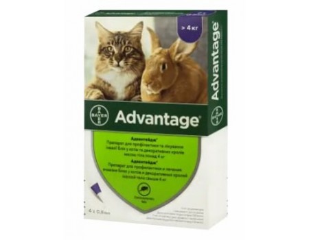 Bayer Advantage 80- для котів вагою, від 4кг до 8кг 1піпетка