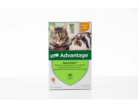 Elanco (Bayer) Advantage 40- для котів вагою до 4кг та тхорів 1піпетка