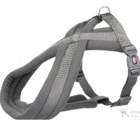 Шлей для собак 