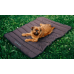 Килимок для собак Harley та Cho Travel roll up mat Brown, М, 100х60 см  - фото 2