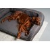 HARLEY & CHO Диван для собак Sleeper Gray NEW, L (80х110 cm)  - фото 2