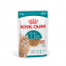 Вологий корм для котів ROYAL CANIN  AGEING 11+ CIG 85G