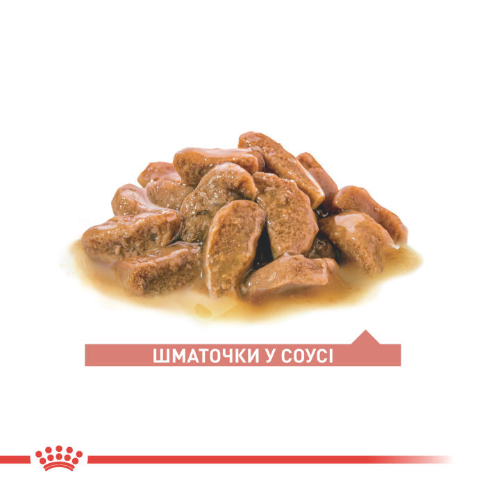 Вологий корм для котів ROYAL CANIN  AGEING 11+ CIG 85G
