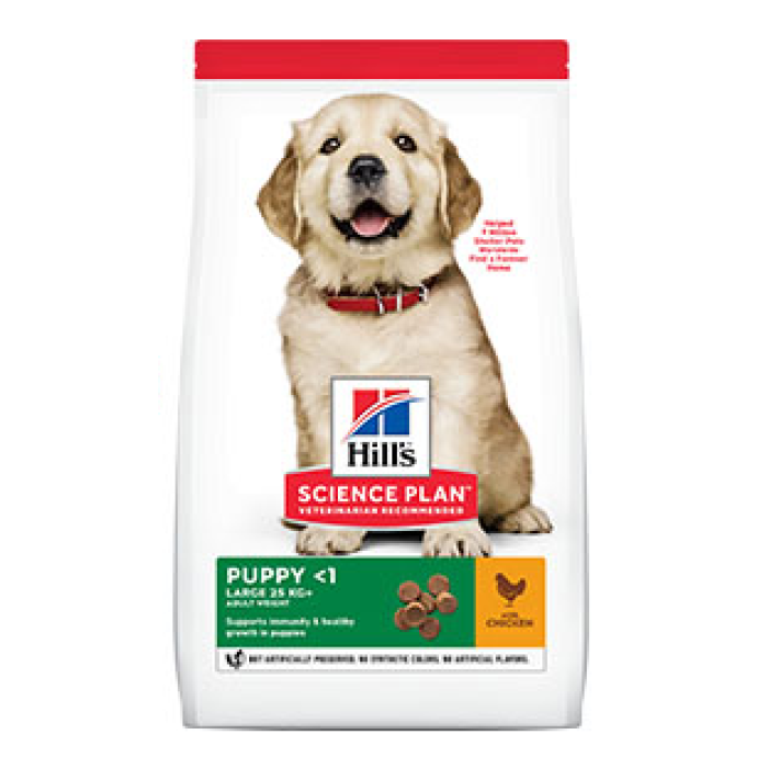 Hills SCIENCE PLAN Puppy Large Breed Ch сухой корм для щенков крупных пород  с курицей - 14.5 кг