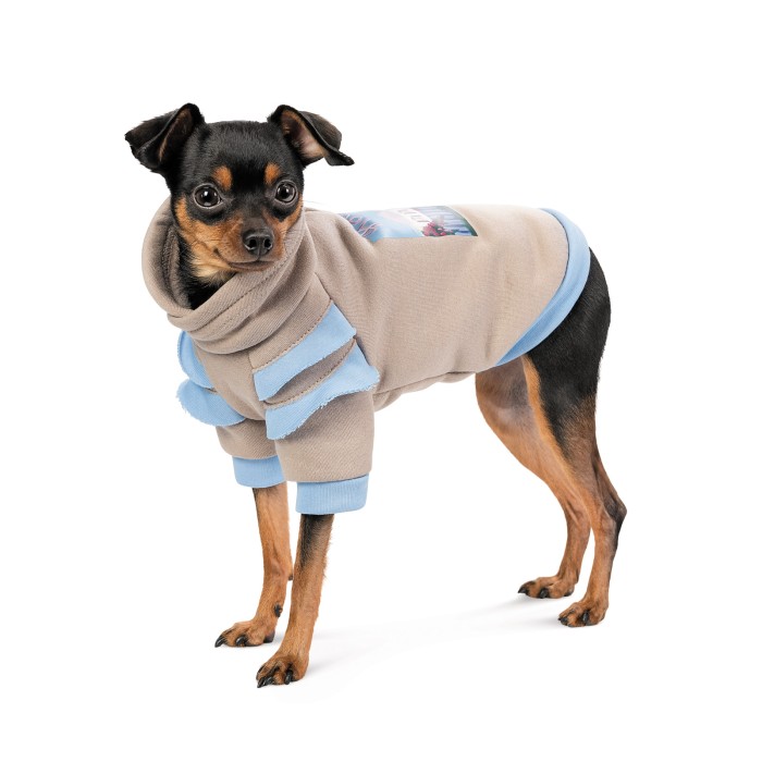Pet Fashion Худі Home S дівчинка