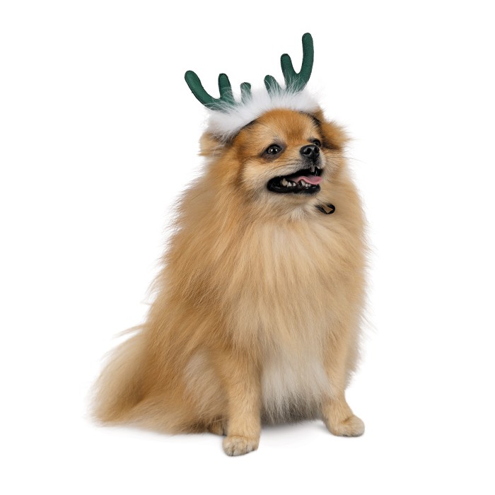 Аксесуар для собак Pet Fashion DEER, обідок, XS-S,