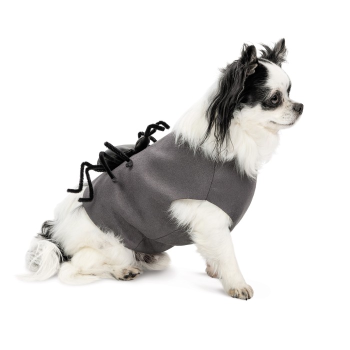 Аксесуар для собак Pet Fashion Spider S-M 
