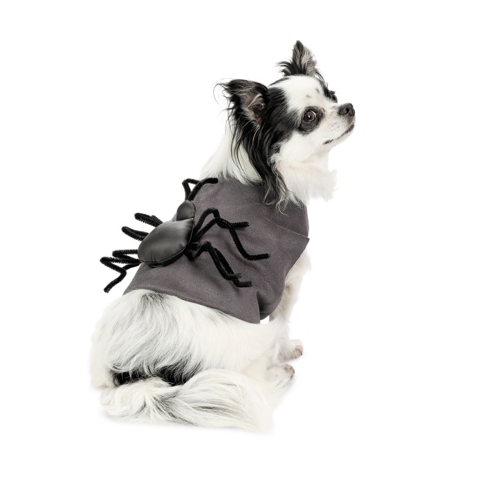 Аксесуар для собак Pet Fashion Spider XS-XS2 