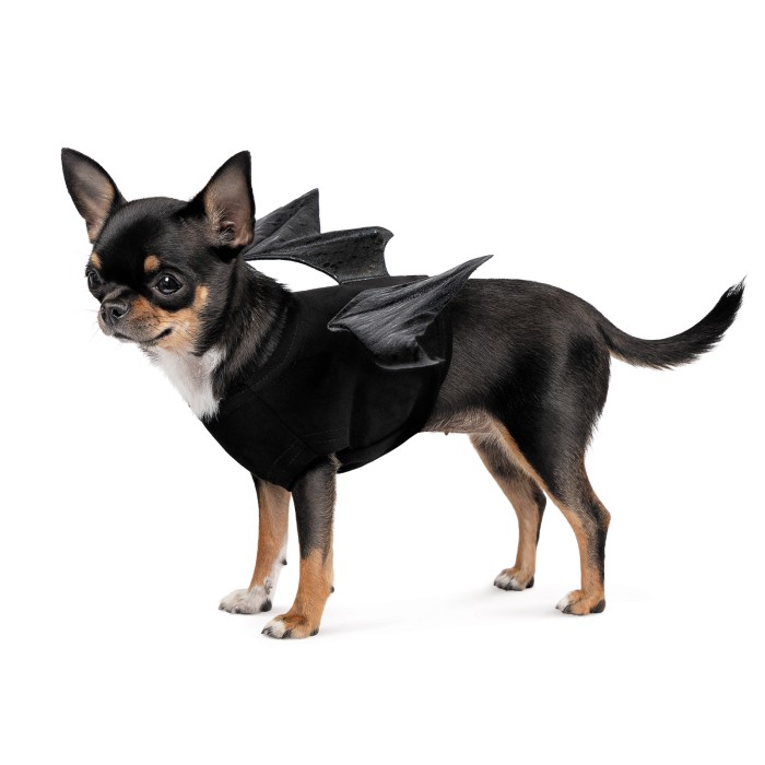 Аксесуар для собак Pet Fashion Web XS-XS2