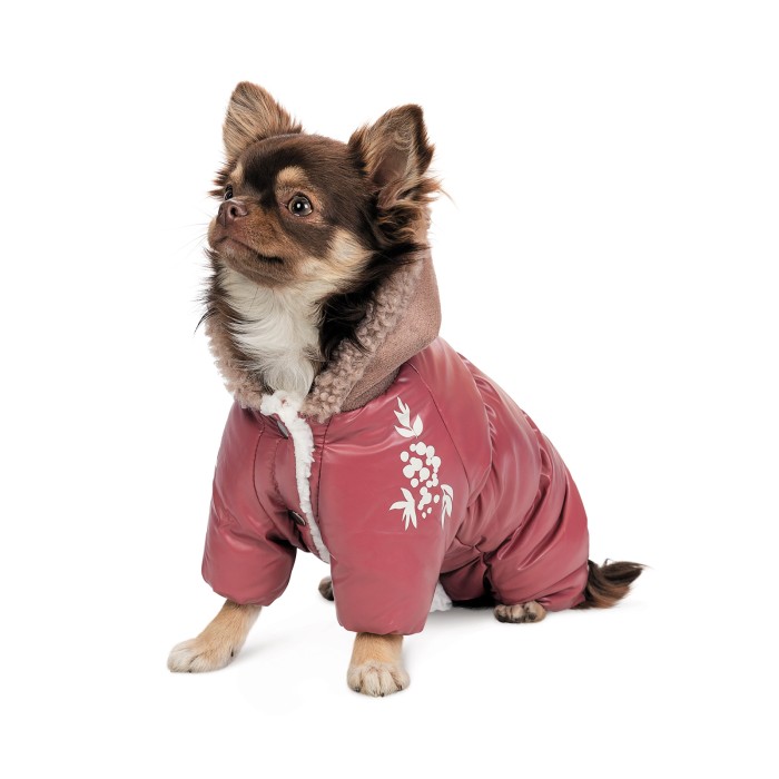 Комбинезон для собак Pet Fashion Cherry, XS, девочка