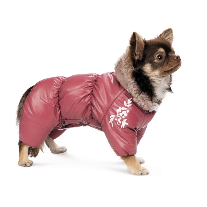 Комбинезон для собак Pet Fashion Cherry, S2, девочка