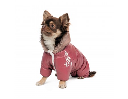 Комбинезон для собак Pet Fashion Cherry, XL, девочка