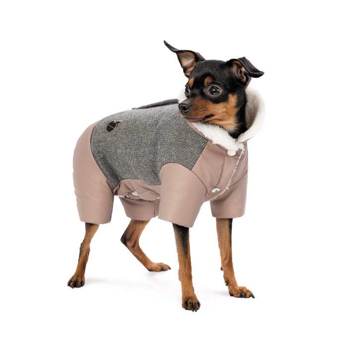 Костюм для собак Pet Fashion Twiddy, XS, девочка
