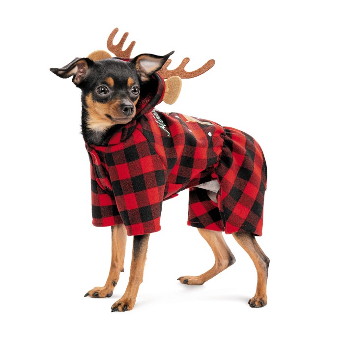 Костюм для собак Pet Fashion Xmas XS2 