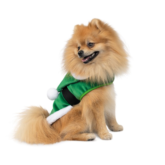 Попона для собак Pet Fashion SANTA, зеленая, M