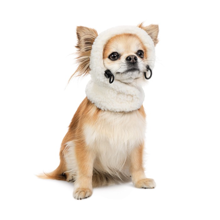 Шапка Pet Fashion Teddy XS для собак