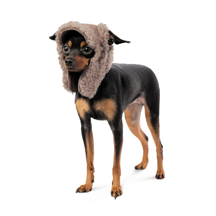 Шапка Pet Fashion Valley XS для собак