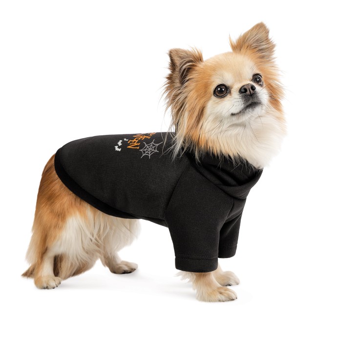 Толстовка для собак Pet Fashion Halloween XS 