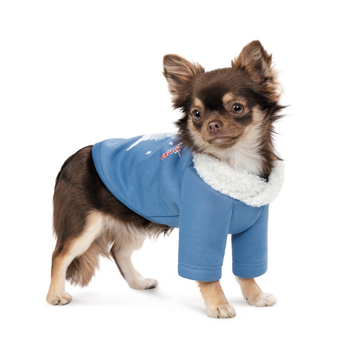 Толстовка для собак Pet Fashion Tinsel S 