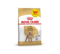 Сухий корм Royal Canin POODLE ADULT 1,2 кг+ 300 г в подарунок..