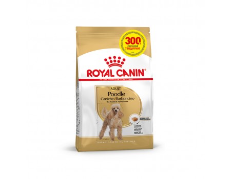 Royal Canin POODLE ADULT 1,2 кг+ 300 г в подарунок