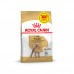 Royal Canin POODLE ADULT 1,2 кг+ 300 г в подарунок