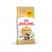 Royal Canin MAINECOON ADULT - 3,2кг + 800 г в подарунок