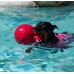 Jolly Pets ГИРЯ TUG-N-TOSS игрушка для собак, Малый 11 см, красный  - фото 2