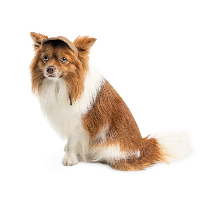Кепка Phil ТМ Pet Fashion для собак S